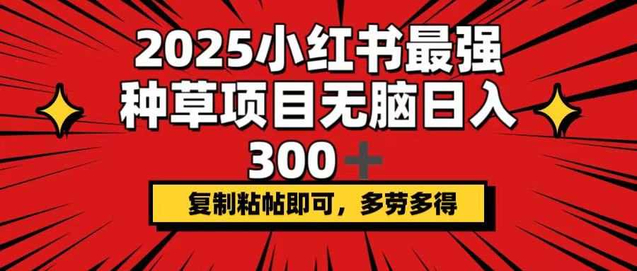 2025小红书最强种草项目，无脑日入300+，复制粘帖即可，多劳多得-梦清网创