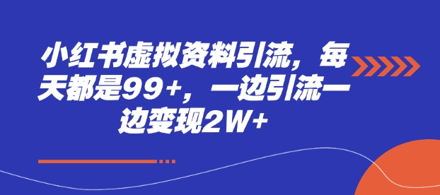 小红书虚拟资料引流，每天都是99+，一边引流一边变现2W+-梦清网创