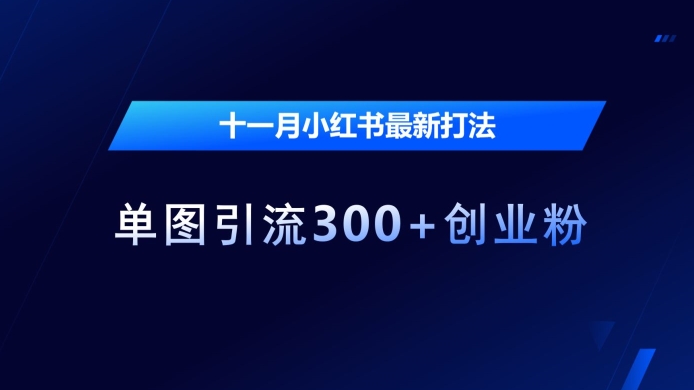 十一月小红书最新打法，单图引流300+创业粉【揭秘】-梦清网创