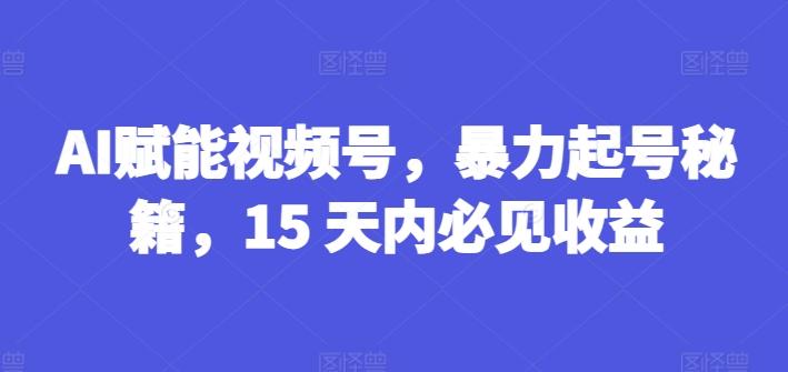 AI赋能视频号，暴力起号秘籍，15 天内必见收益【揭秘】-梦清网创