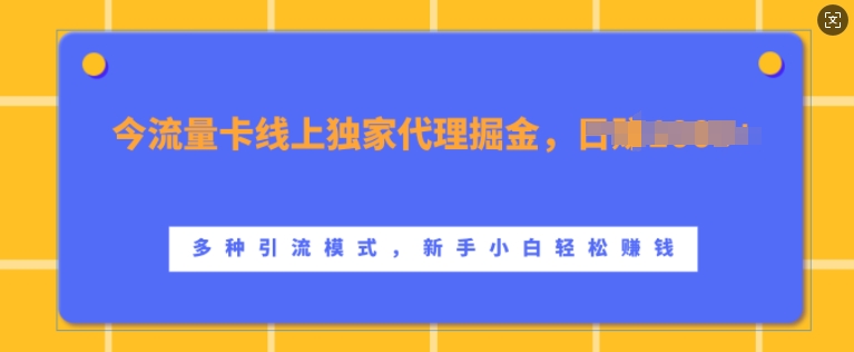 流量卡线上独家代理掘金，日入1k+ ，多种引流模式，新手小白轻松上手【揭秘】-梦清网创