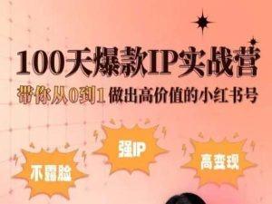 小红书100天爆款IP实战营，带你从0到1做出高价值的小红书号-梦清网创