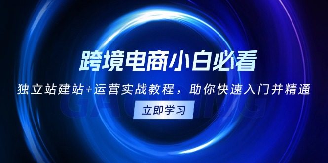 跨境电商小白必看！独立站建站+运营实战教程，助你快速入门并精通-梦清网创