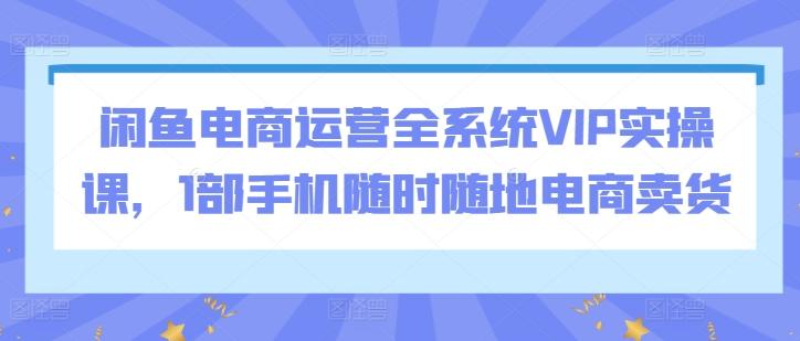 闲鱼电商运营全系统VIP实操课，1部手机随时随地电商卖货-梦清网创