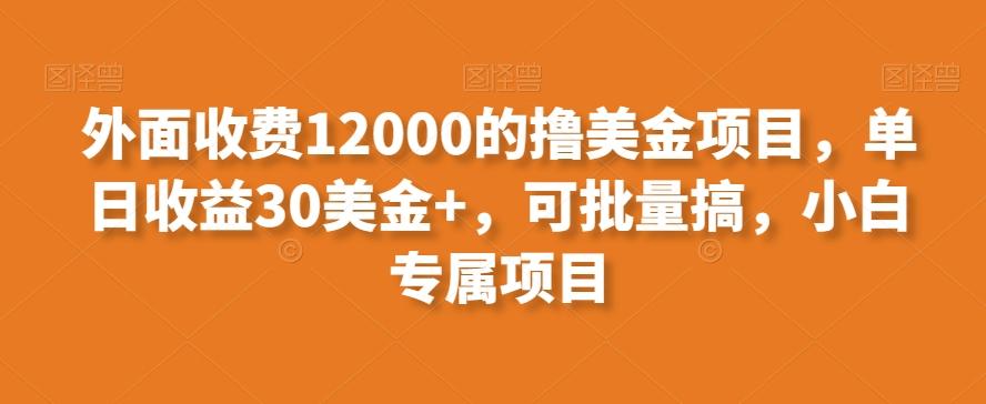 外面收费12000的撸美金项目，单日收益30美金+，可批量搞，小白专属项目-梦清网创