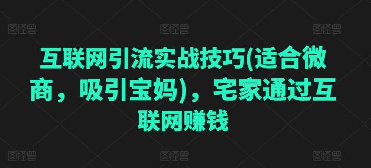 互联网引流实战技巧(适合微商，吸引宝妈)，宅家通过互联网赚钱-梦清网创