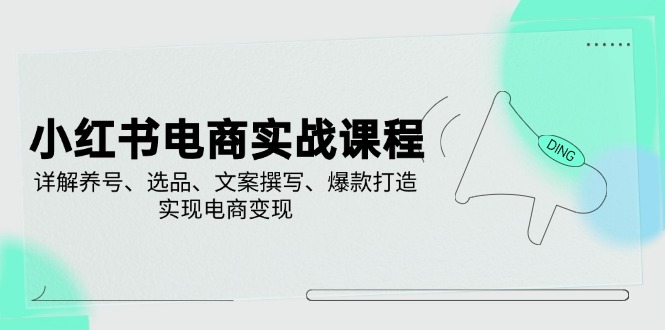 小红书电商实战课程，详解养号、选品、文案撰写、爆款打造，实现电商变现-梦清网创