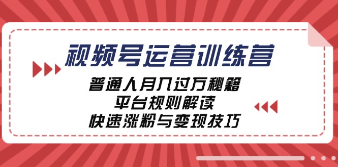 视频号运营训练营：普通人月入过万秘籍，平台规则解读，快速涨粉与变现-梦清网创