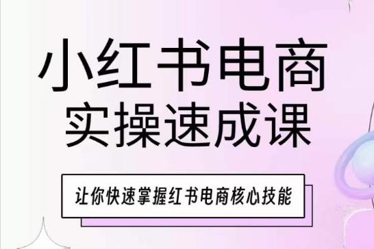 小红书电商实操速成课，让你快速掌握红书电商核心技能-梦清网创
