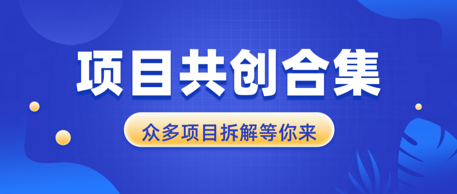 项目共创合集，从0-1全过程拆解，让你迅速找到适合自已的项目-梦清网创