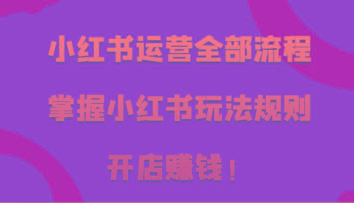 小红书运营全部流程，掌握小红书玩法规则，开店赚钱！-梦清网创