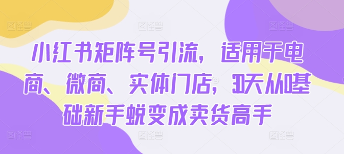 小红书矩阵号引流，适用于电商、微商、实体门店，30天从0基础新手蜕变成卖货高手-梦清网创