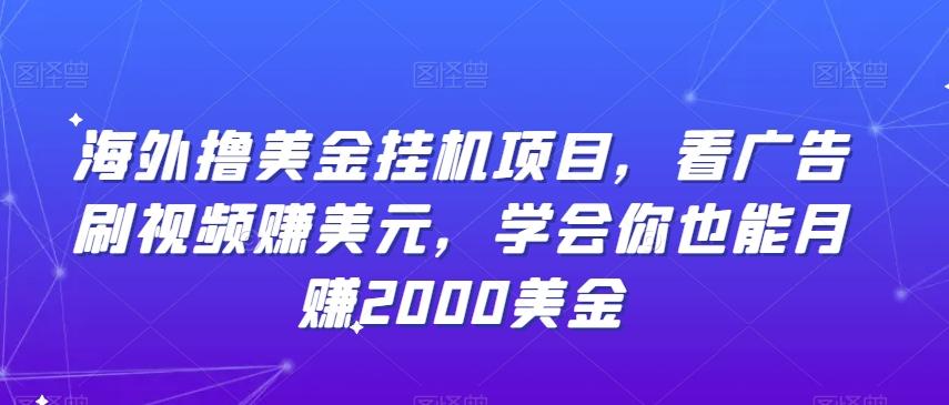 海外撸美金挂机项目，看广告刷视频赚美元，学会你也能月赚2000美金-梦清网创