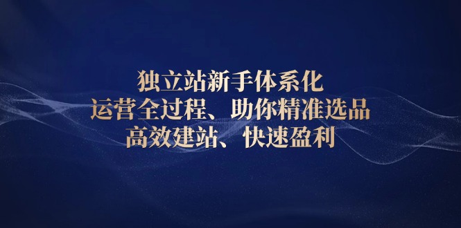 独立站新手体系化 运营全过程，助你精准选品、高效建站、快速盈利-梦清网创