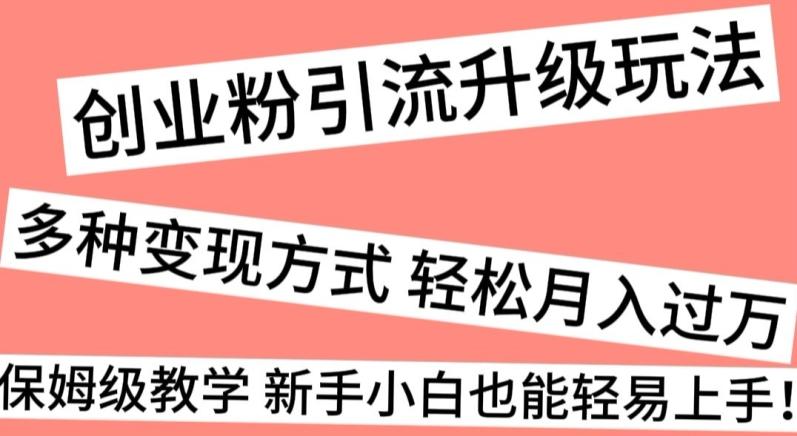 创业粉引流升级玩法，多种变现方式轻松月入过万，保姆级教学新手小白也能轻易上手！-梦清网创