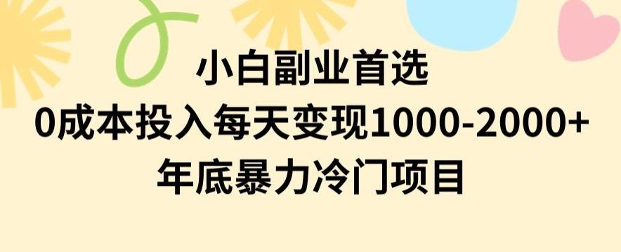 小白副业首选，0成本投入，每天变现1000-2000年底暴力冷门项目【揭秘】-梦清网创