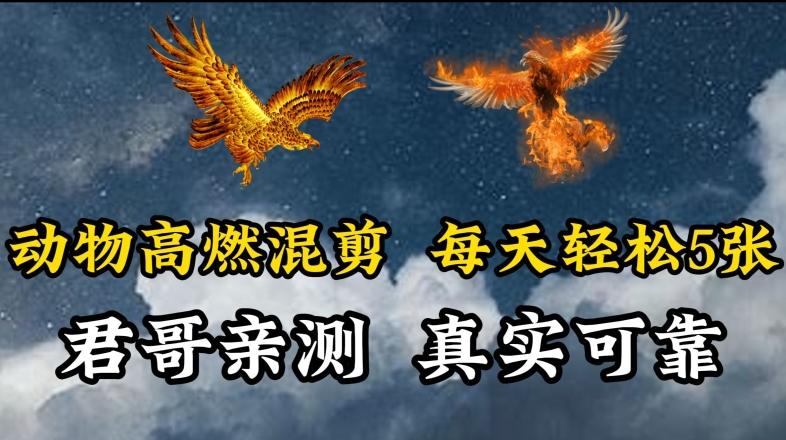动物超燃混剪，每天轻松5张，剪辑简单大家爱看【揭秘】-梦清网创