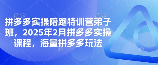 拼多多实操陪跑特训营弟子班，2025年2月拼多多实操课程，海量拼多多玩法-梦清网创