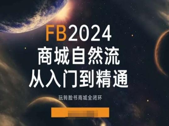 2024Faceboo商城自然流(从入门到精通)，玩转脸书商城全闭环-梦清网创