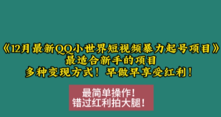 12月最新QQ小世界短视频暴力起号项目，最适合新手的项目，多种变现方式-梦清网创