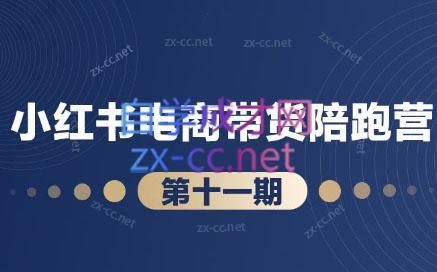 盗坤·小红书电商带货陪跑营(第十一期)-梦清网创