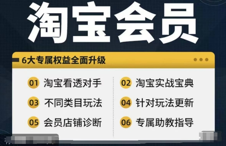 淘宝会员【淘宝所有课程，全面分析对手】，初级到高手全系实战宝典-梦清网创