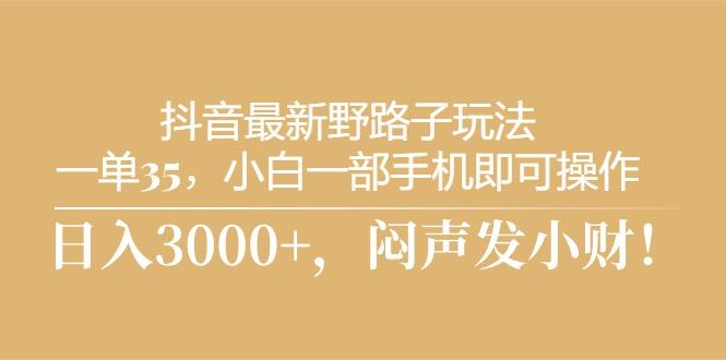 抖音最新野路子玩法，一单35，小白一部手机即可操作，，日入3000+，闷…-梦清网创