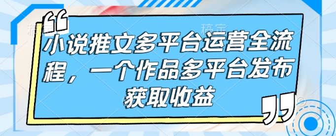 小说推文多平台运营全流程，一个作品多平台发布获取收益-梦清网创
