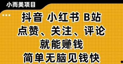 小而美的项目，抖音小红书B站视频点赞、关注、评论就能挣钱，简单无脑立见收益，妥妥的零撸项目【揭秘】-梦清网创