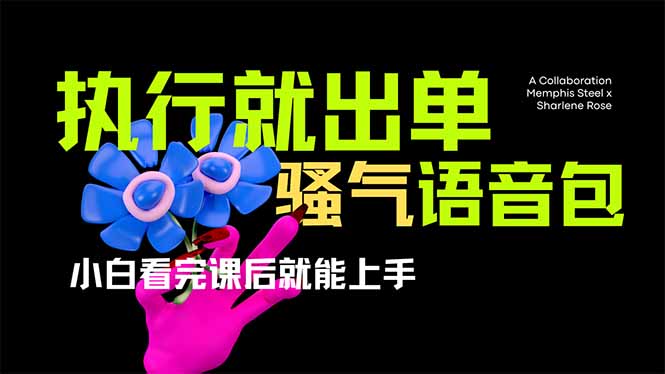 爆火全网的开车导航骚气语音包,只要执行就出单，小白看完课程就能实操…-梦清网创