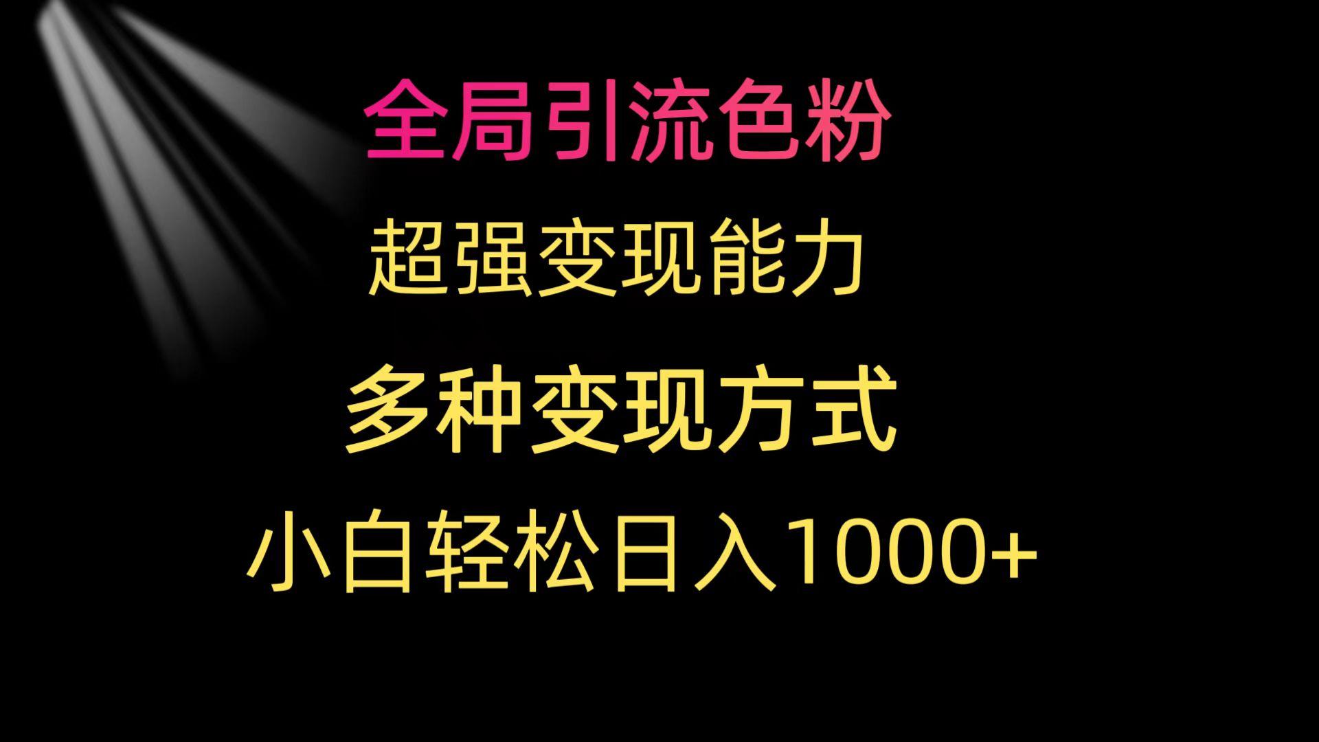 (9680期)全局引流色粉 超强变现能力 多种变现方式 小白轻松日入1000+-梦清网创