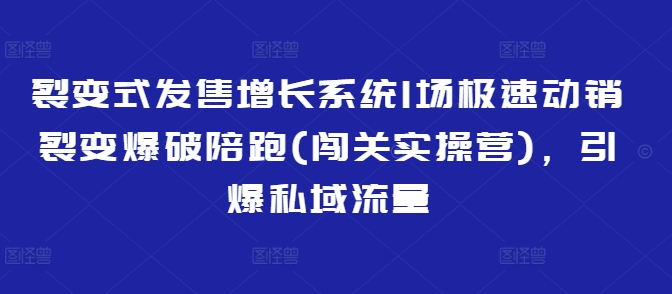 裂变式发售增长系统1场极速动销裂变爆破陪跑(闯关实操营)，引爆私域流量-梦清网创