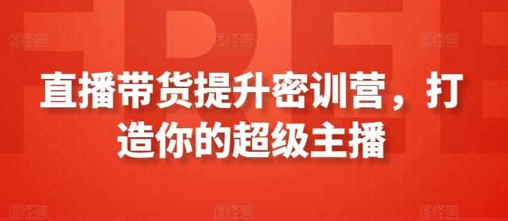 直播带货提升密训营，打造你的超级主播-梦清网创