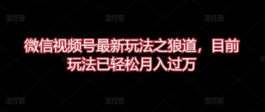 微信视频号最新玩法之狼道，目前玩法已轻松月入过万【揭秘】-梦清网创