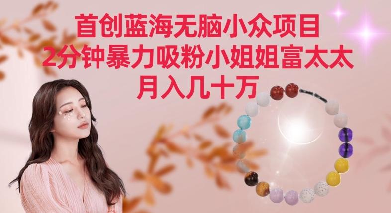 首创蓝海无脑小众项目，2分钟暴力吸粉小姐姐富太太，月入几十万【揭秘】-梦清网创