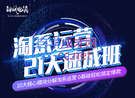 淘系运营21天速成班(更新24年6月)-梦清网创