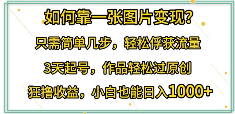 如何靠一张图片变现?只需简单几步，轻松俘获流量，3天起号，作品轻松过原创【揭秘】-梦清网创