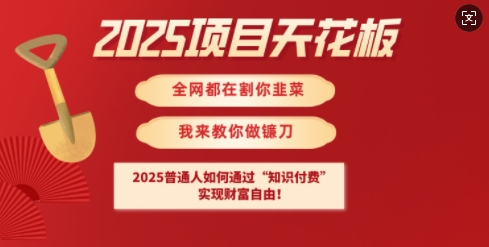 2025项目天花板普通人如何通过知识付费，实现财F自由【揭秘】-梦清网创